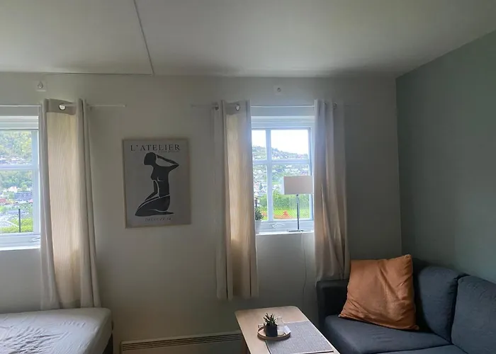 Nyoppusset Leilighet