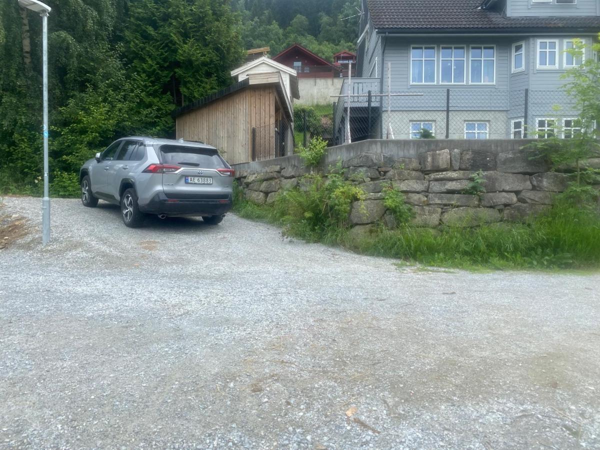 Nyoppusset Apartment Sogndal
