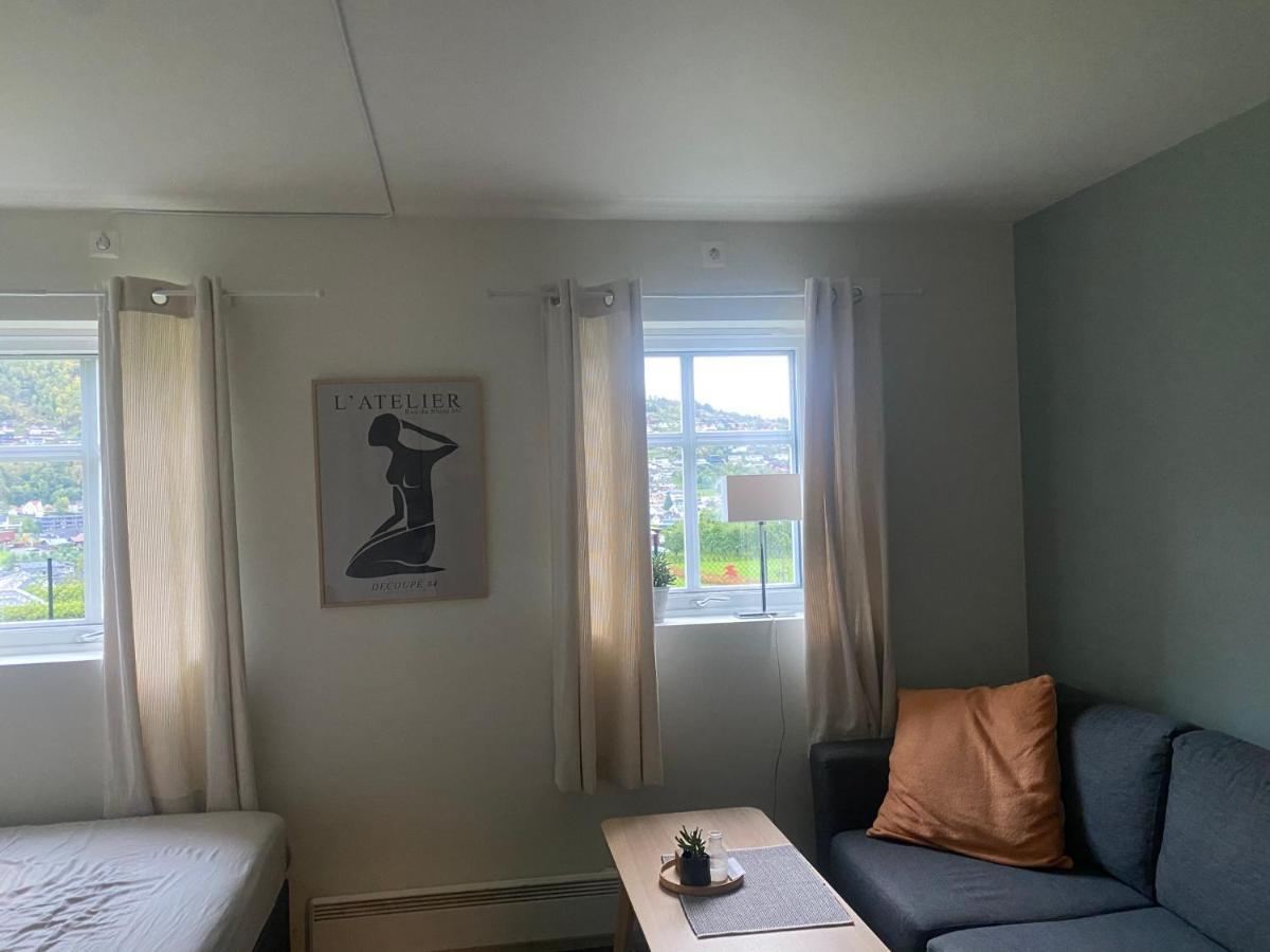 Nyoppusset Apartment Sogndal